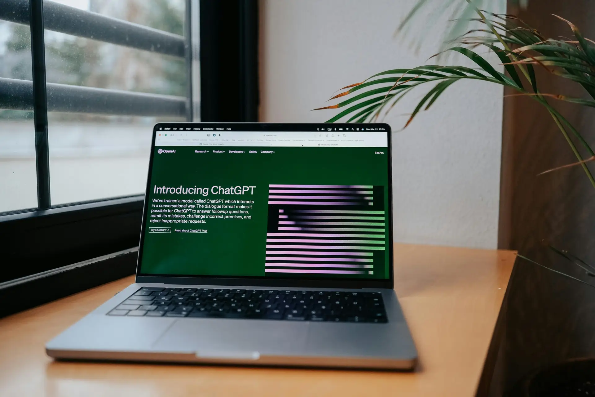 Top 5 Free AI Tools That Make You Look Like a Pro (No Coding Needed)